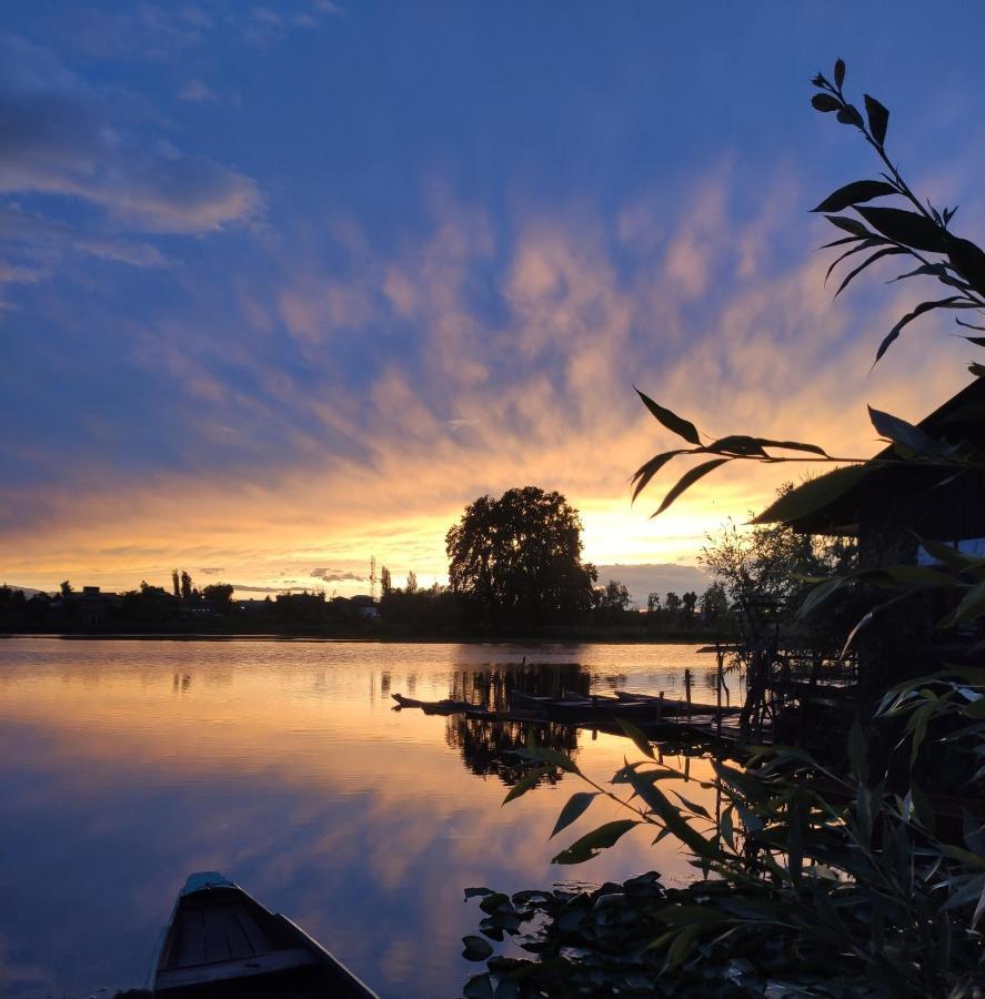 Lakeside Homestay Srinagar מראה חיצוני תמונה